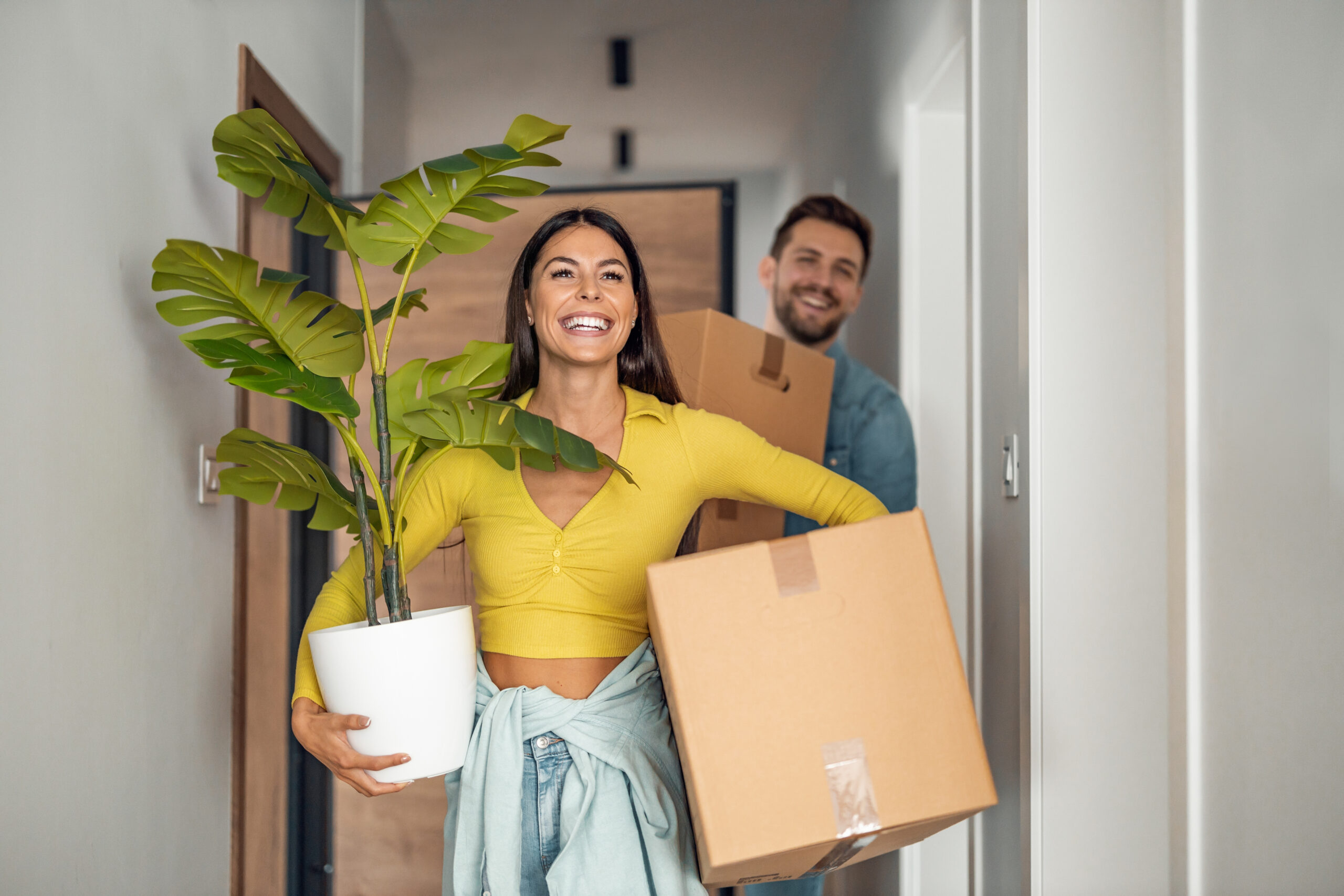 First Mortgages